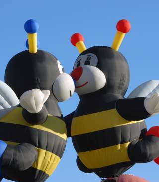 Bee Balloons Kissing