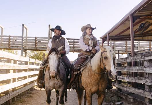 The Herd - Trail Boss