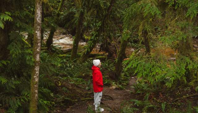 8 Natural Wonders of the Sunshine Coast