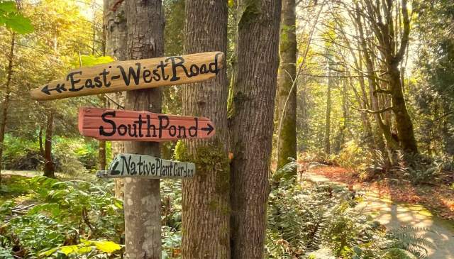 Discover the Sunshine Coast Botanical Garden