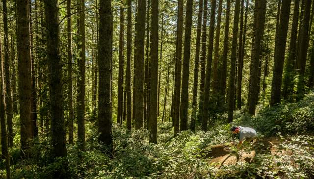 10 Tips for First-Time Mountain Bikers on the Sunshine Coast