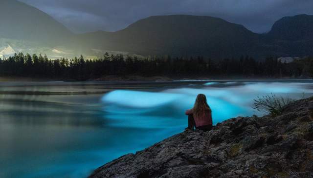 Where to Experience Bioluminescence on the Sunshine Coast