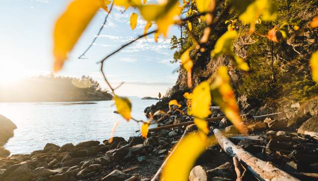 7 Ways to Experience Fall on the Sunshine Coast