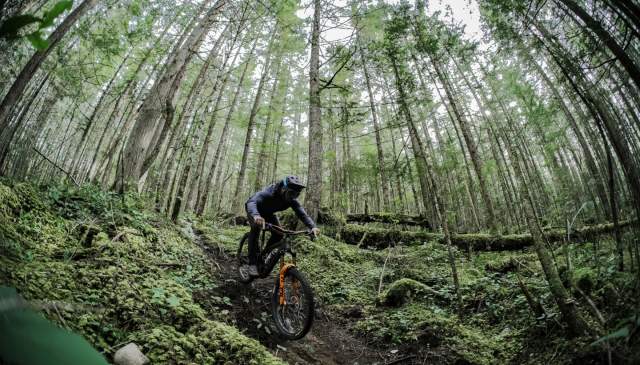 A Mountain Biker's Favourite Powell River Haunts