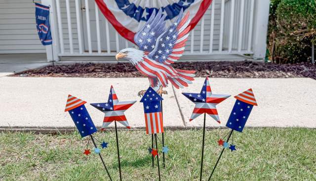 Red, White & Blue: I Spy You!