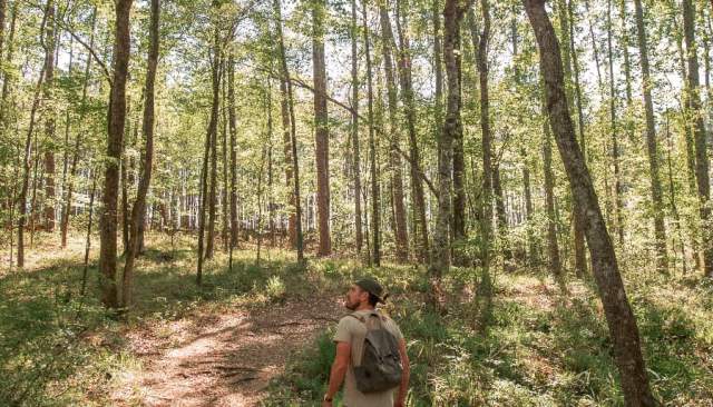 Weekend on Clarks Hill: Camping, Fishing, & Paddling