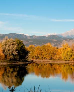 Golden Ponds