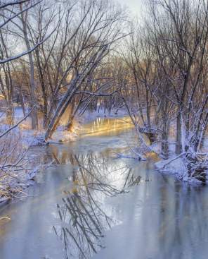 Winter Greenway St. Vrain Creek