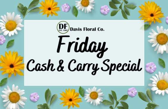 Cash & Carry Special