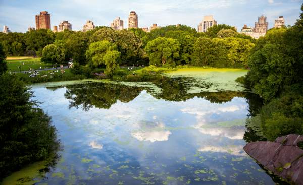 5 Central Park Spots That Will Change Your Photography