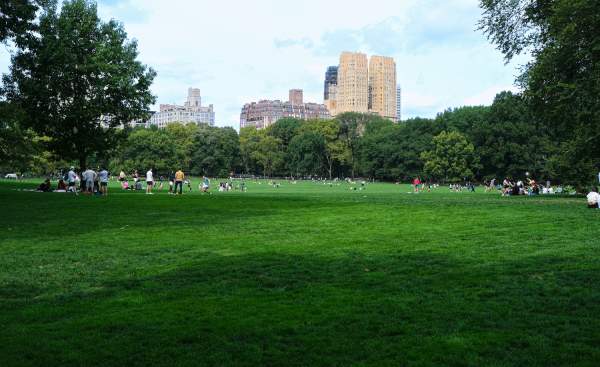 32 Top Things To Do in New York City With Kids