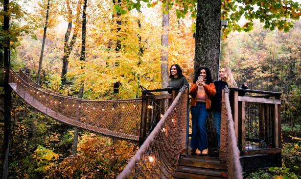 friends fall anakeesta