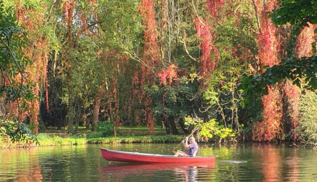 Autumn Along the Thames: Wildlife Wonders on the River
