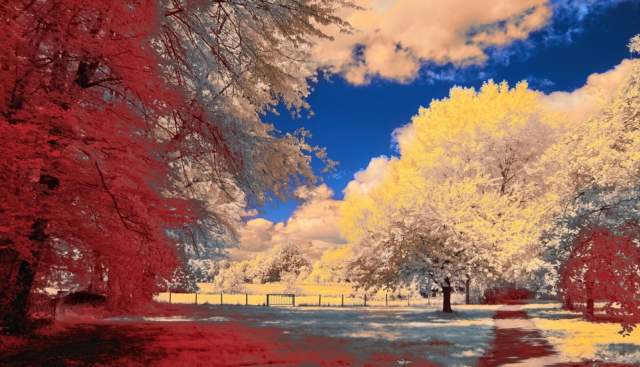 Nature Through the Seasons on the Thames Path