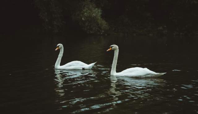 More Quirky Thames Path Anecdotes (part 2 of 3)