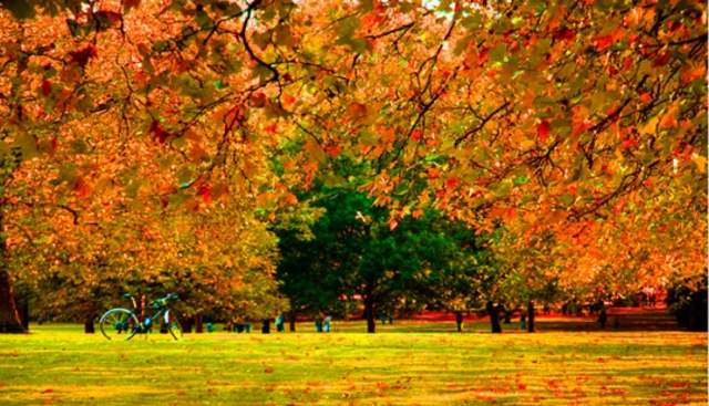 Autumn Along the Thames: Five Walks to Enjoy This October