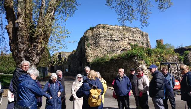 Guided Tours