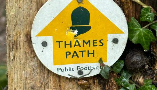 Footsteps Through Time