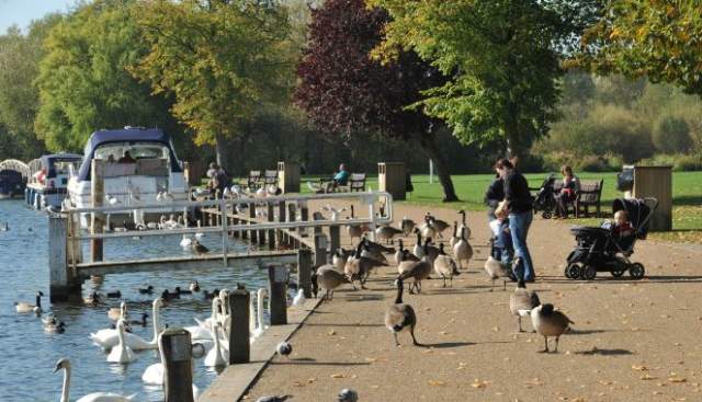 Thames Path Marlow
