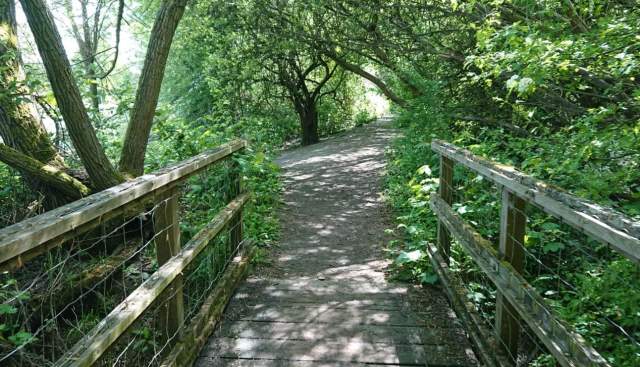 Quiz Round Up and Fun Facts!