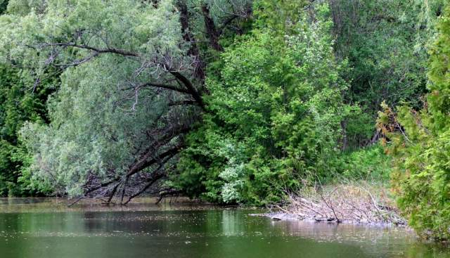 Quiet routes on the Thames Path for winter reflection