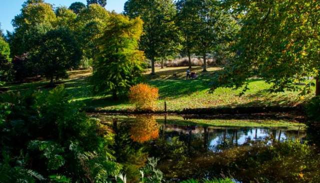 Savill Garden, Windsor