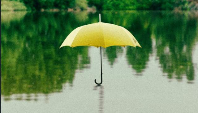 Walking in the Rain: Finding Joy in Nature’s Rhythm