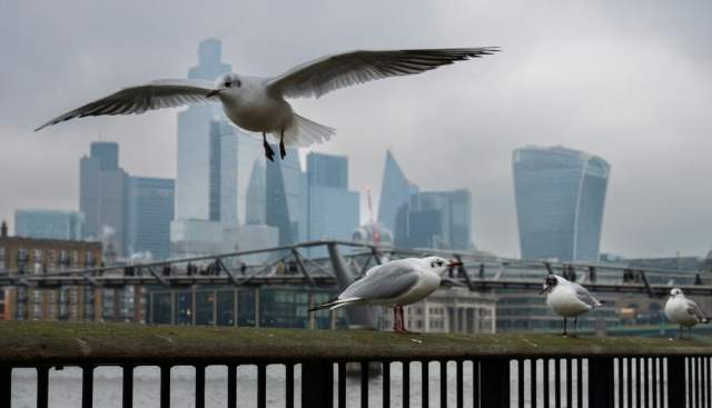 Did you know? Amazing Nature facts from along the Thames Path!