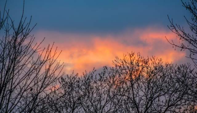 Shorter walks for shorter days!