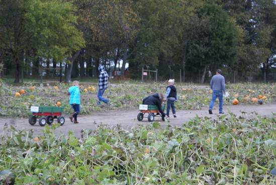 Exlporation Acres Pumpkin Patch