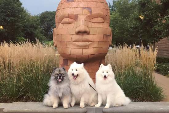 Public Art