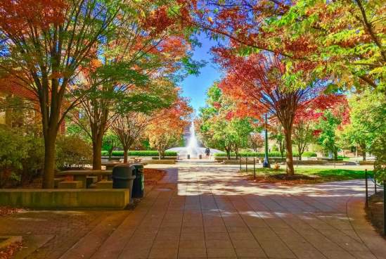 11 Vibrant Locations to View Fall Foliage in Greater Lafayette