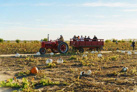 10+ Fall Adventures in Greater Lafayette