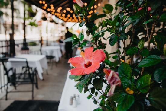 Bistro 501 outdoor dining area