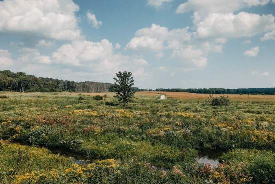 Prophetstown State Park Lookout