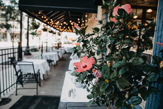 Bistro 501