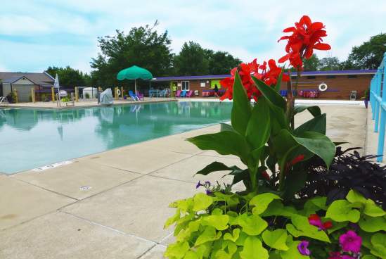 Vinton Pool