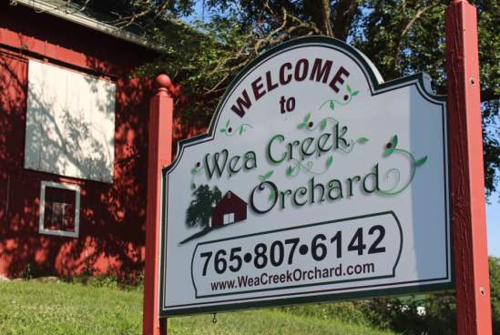 Wea Creek Orchard and Lavender Bee Company