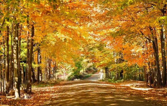 Welcome Fall 2025
