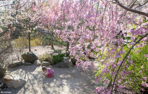 West Michigan Welcomes Spring // 2026