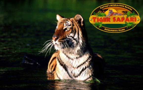 $2 off at the Tiger Safari Zoo