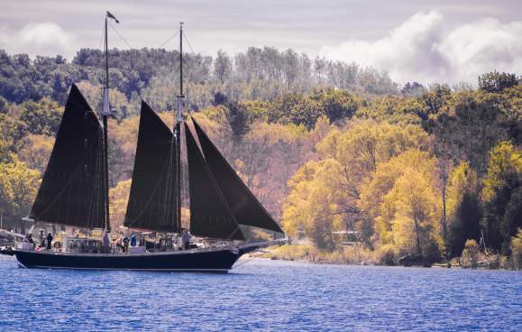 Fall Sail
