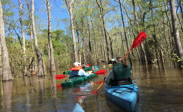 Two people kayaking through Big Thicket National Preserve near Beaumont, TX