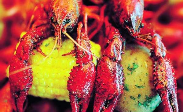 Crawfish
