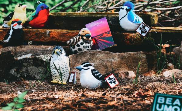Explore Beaumont with the Beaumont Birdie Passport