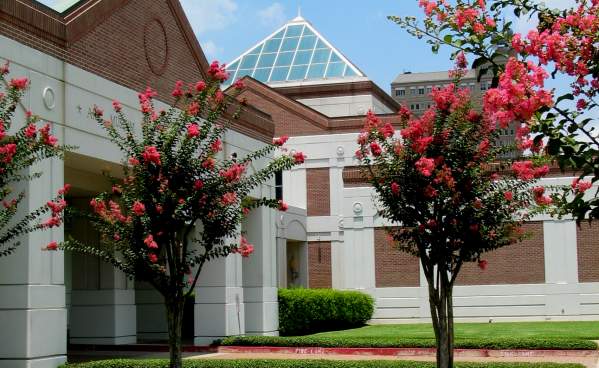 Art Museum of Southeast Texas
