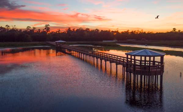 Cattail Marsh Scenic Wetlands Boardwalk In Beaumont, TX