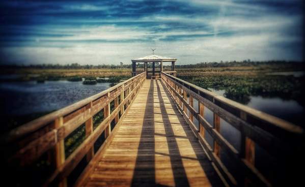 Cattail Marsh Boardwalk In Beaumont, TX