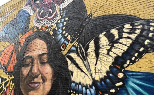 Butterflies and Carmen