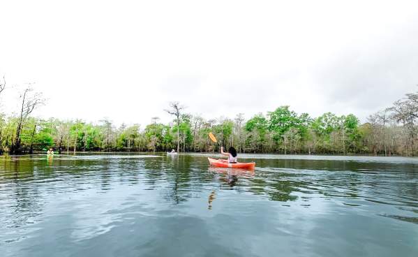 A lone visitor kayaks through the waters of Big Thicket near Beaumont.